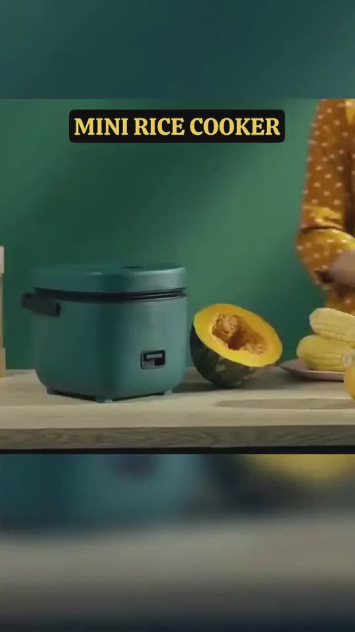 Mini Rice Cooker